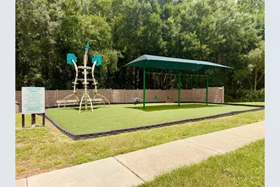 3216 Bellericay Lane, Land O Lakes, FL 34638 - Photo 60