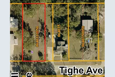 Tighe Street, Seffner, FL 33584 - Photo 2