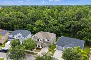6944 Rocky Canyon Way, Tampa, FL 33625 - Photo 2