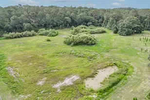 5117 Cr 316A, Bushnell, FL 33513 - Photo 38