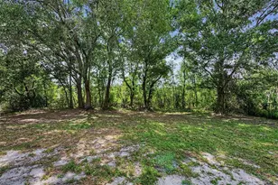 28353 Tanglewood Dr, Wesley Chapel, FL 33543 - Photo 32