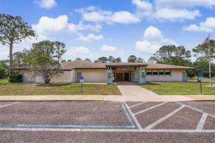 28353 Tanglewood Dr, Wesley Chapel, FL 33543 - Photo 38