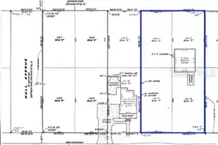 510C Tighe St, Seffner, FL 33584 - Photo 10