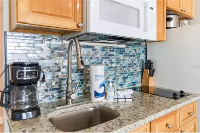 9980 Gulf Boulevard #211, Saint Petersburg, FL 33706 - Photo 14