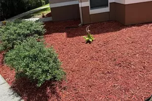 18138 Villa Creek Dr, Tampa, FL 33647 - Photo 2