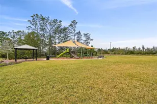 8938 Gallantree Pl, Land O Lakes, FL 34637 - Photo 30