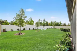 10892 Ibis Brk Ct, Land O Lakes, FL 34638 - Photo 26