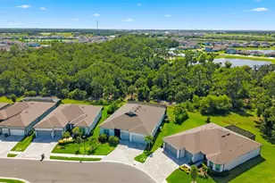 11353 Outrigger Pl, Parrish, FL 34219 - Photo 60