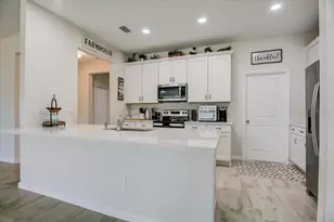 10916 Quickwater Ct, Riverview, FL 33569 - Photo 6