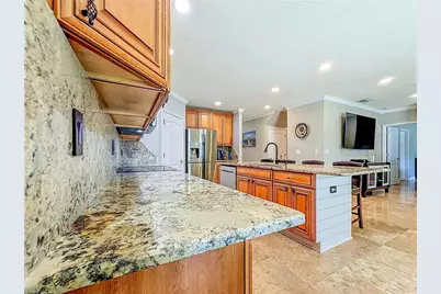 420 Hartford Heights Street, Spring Hill, FL 34609 - Photo 78