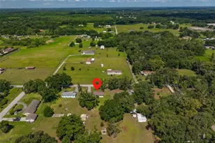 4306 Strauss Rd, Plant City, FL 33565 - Photo 42