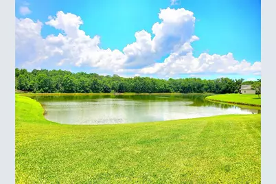 25644 Frith Street, Land O Lakes, FL 34639 - Photo 2