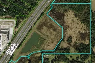 28651 Tupper Rd, Wesley Chapel, FL 33545 - Photo 24