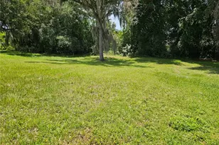 1147 Emerald Hill Way, Valrico, FL 33594 - Photo 50