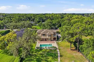 9244 Rhea Dr, Odessa, FL 33556 - Photo 50