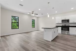 4369 Cambio Gdns Ct, Tampa, FL 33610 - Photo 4