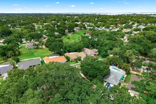 341 Arbor Dr W, Palm Harbor, FL 34683 - Photo 46