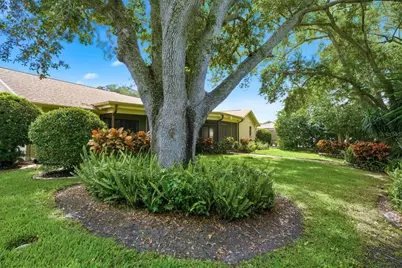 341 Arbor Drive W, Palm Harbor, FL 34683 - Photo 40