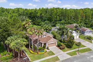 8711 Preston Woods Ct, Land O Lakes, FL 34638 - Photo 38