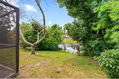 6415 Monterey Boulevard, Tampa, FL 33625 - Photo 12