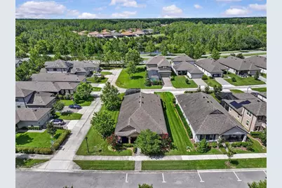 13353 Batten Lane, Odessa, FL 33556 - Photo 6