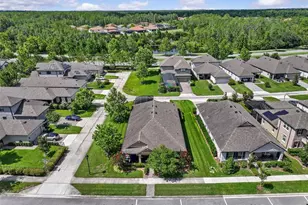 13353 Batten Ln, Odessa, FL 33556 - Photo 6