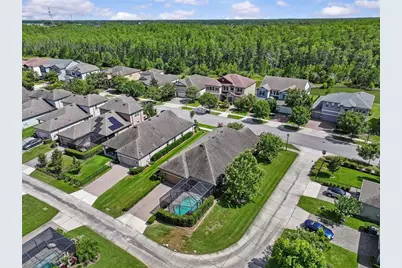 13353 Batten Lane, Odessa, FL 33556 - Photo 46