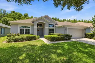 19720 Morden Blush Dr, Lutz, FL 33558 - Photo 2