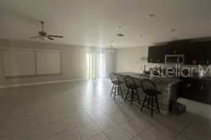 10236 Bright Crystal Ave, Riverview, FL 33578 - Photo 6