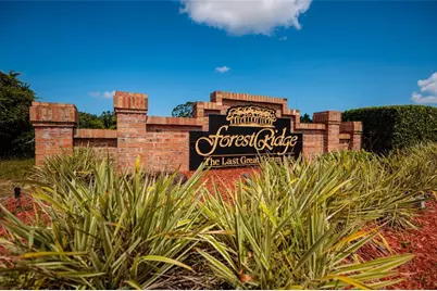1805 Wood Bend Street, Tarpon Springs, FL 34689 - Photo 34