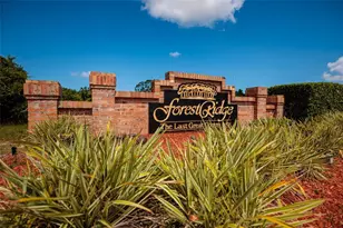 1805 Wood Bend St, Tarpon Springs, FL 34689 - Photo 34