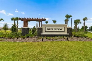 7629 Broad River Ave, Land O Lakes, FL 34638 - Photo 78