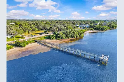 314 Indiana Avenue, Crystal Beach, FL 34681 - Photo 32