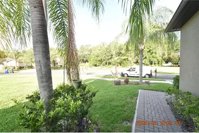 20019 Date Palm Way, Tampa, FL 33647 - Photo 58