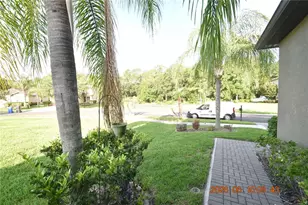 20019 Date Palm Way, Tampa, FL 33647 - Photo 58