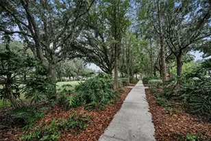 10403 Micanopy St, New Port Richey, FL 34655 - Photo 80