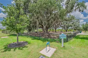 10706 Torchwood Sea Wy, San Antonio, FL 33576 - Photo 48