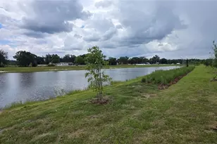 9436 Scouter Bee Pl, Land O Lakes, FL 34637 - Photo 24