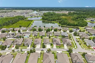 8210 Mallow Mirror Ln, Land O Lakes, FL 34637 - Photo 44