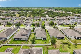8210 Mallow Mirror Ln, Land O Lakes, FL 34637 - Photo 42