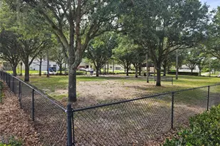 8210 Mallow Mirror Ln, Land O Lakes, FL 34637 - Photo 52