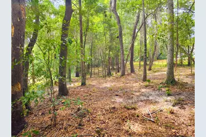 Fitzhugh Avenue, Brooksville, FL 34601 - Photo 16