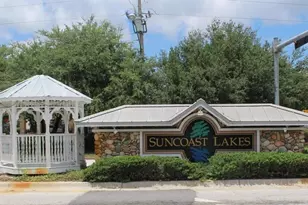 10842 Wild Cotton Ct, Land O Lakes, FL 34638 - Photo 48