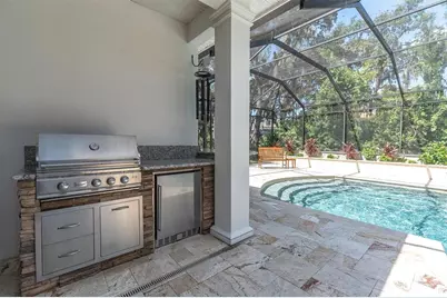 16301 Dunlindale Drive, Lithia, FL 33547 - Photo 56