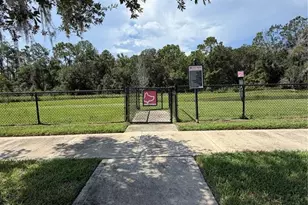 36101 Stable Wilk Ave, Zephyrhills, FL 33541 - Photo 20