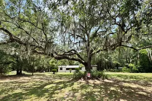 11286 E Hwy 25, Belleview, FL 34420 - Photo 4