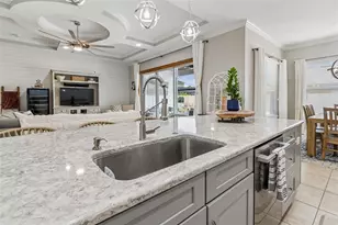 8908 Bella Vita Cir, Land O Lakes, FL 34637 - Photo 40