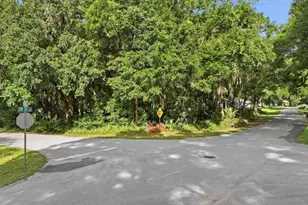 Lot 3 SW 93rd Loop, Dunnellon, FL 34432 - Photo 1
