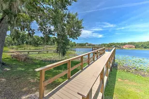 2459 Shorewood Ln, Land O Lakes, FL 34639 - Photo 4