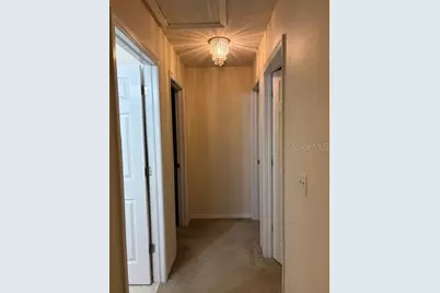 18157 Paradise Point Drive, Tampa, FL 33647 - Photo 28